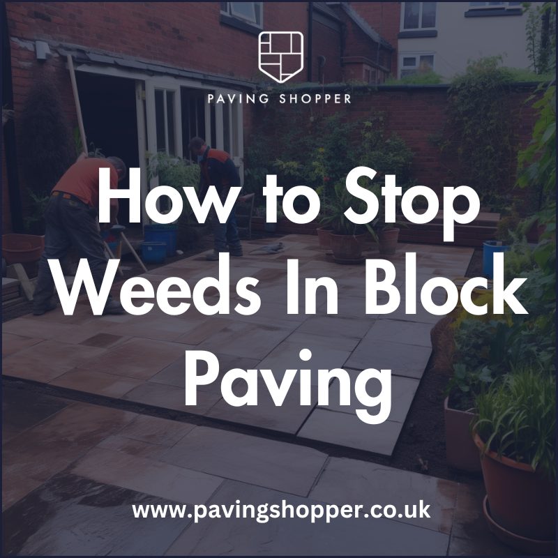 How to Stop Weeds in Block Paving: Expert Tips andTricks