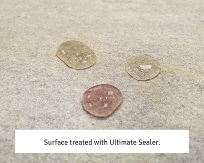 ECOPROTEC Ultimate Sealer 1L or 5L